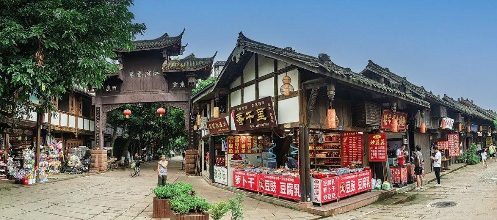 生化危机：浣熊市行动